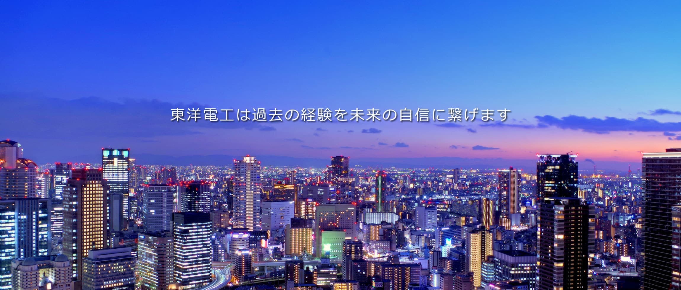 株式会社東洋電工